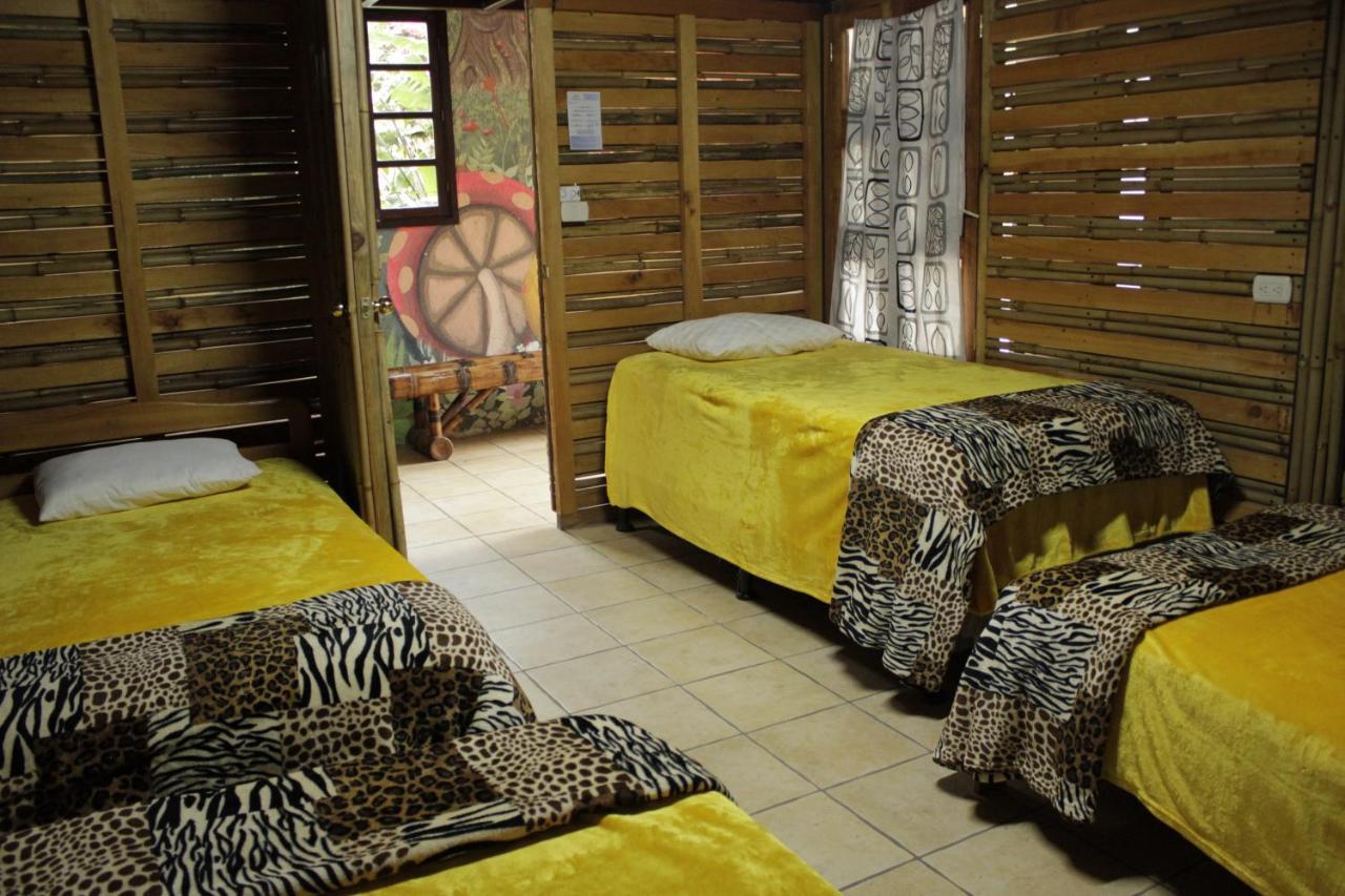 Hostal Casa Buho Antigua Kültér fotó